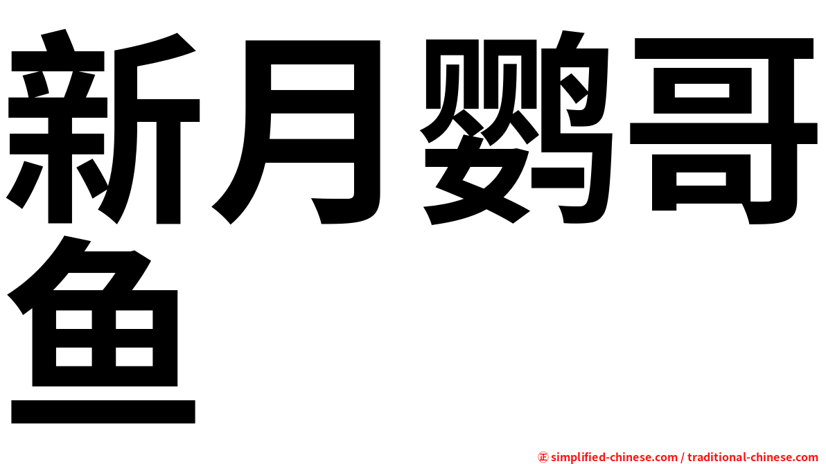 新月鹦哥鱼