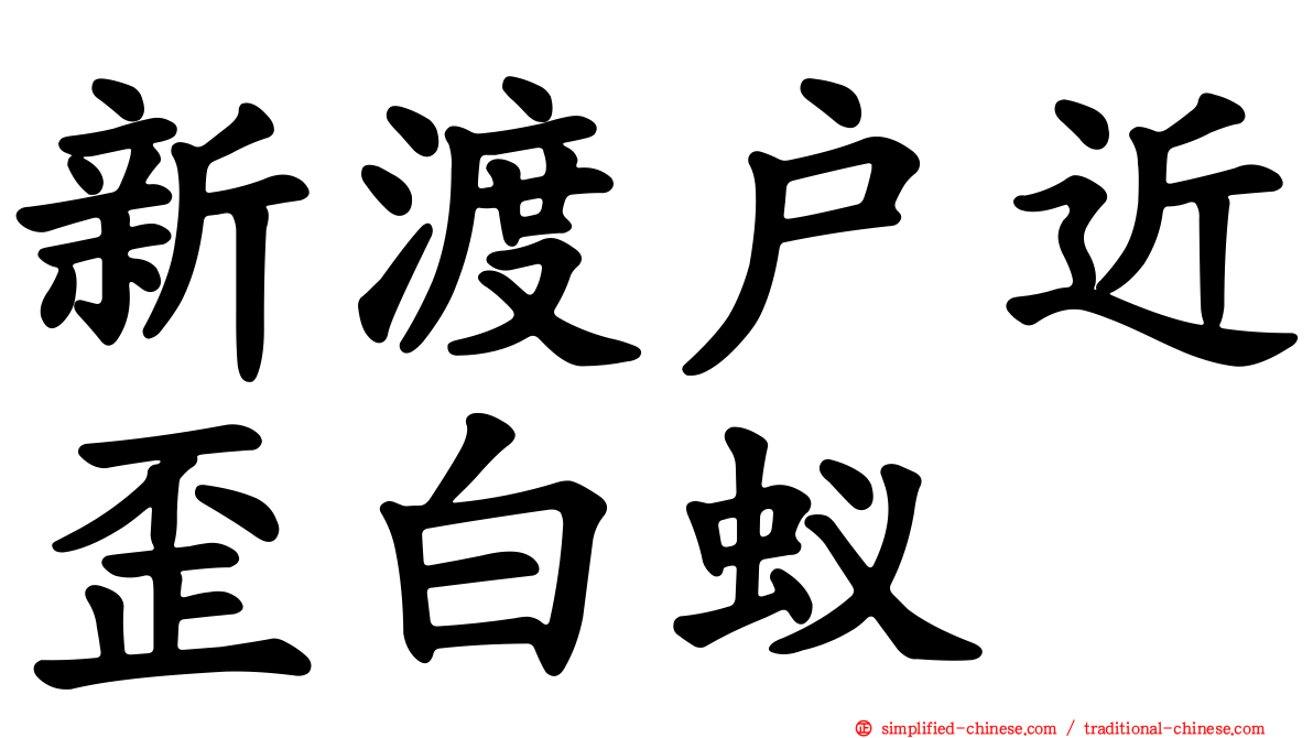 新渡户近歪白蚁