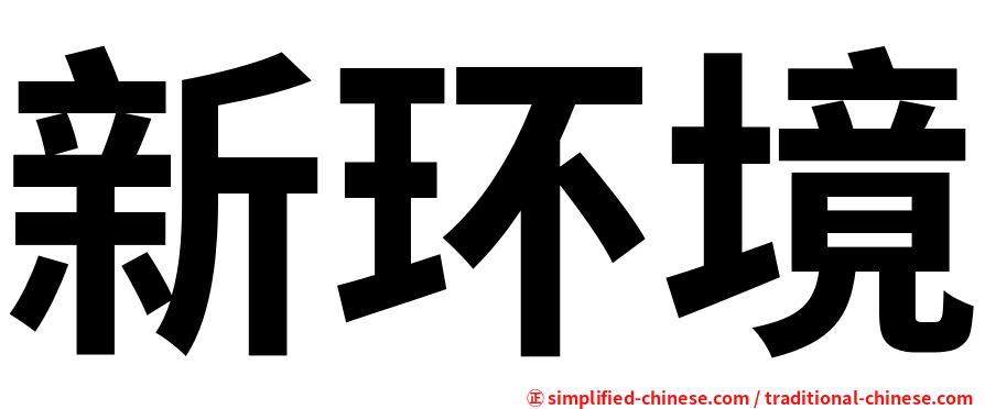 新环境