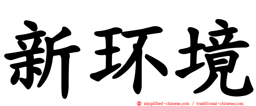 新环境