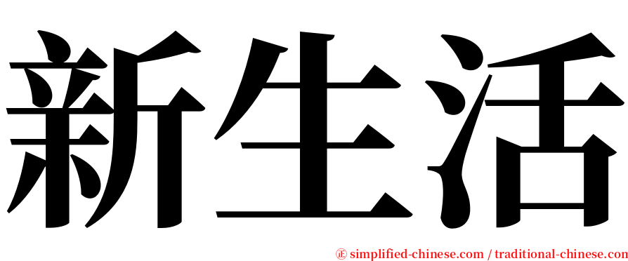 新生活 serif font