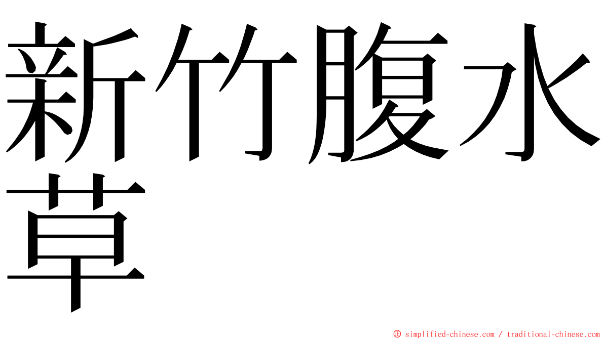 新竹腹水草 ming font