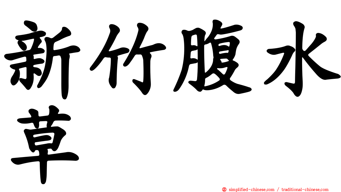 新竹腹水草