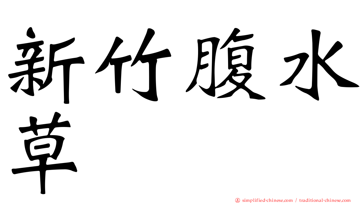 新竹腹水草
