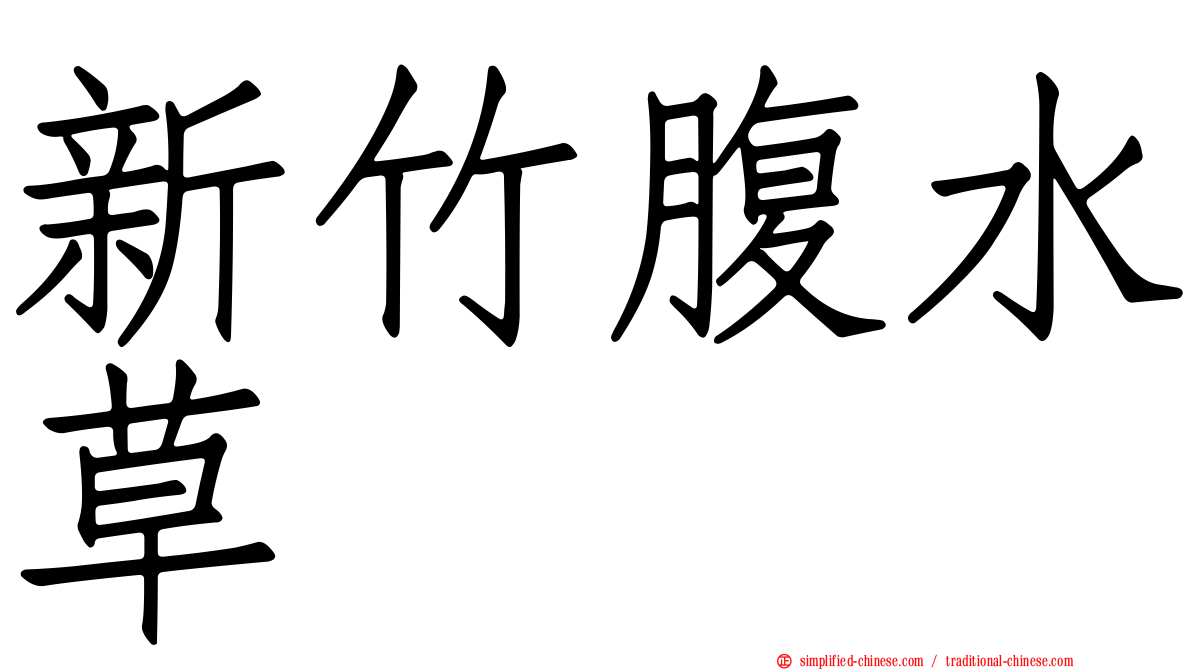 新竹腹水草
