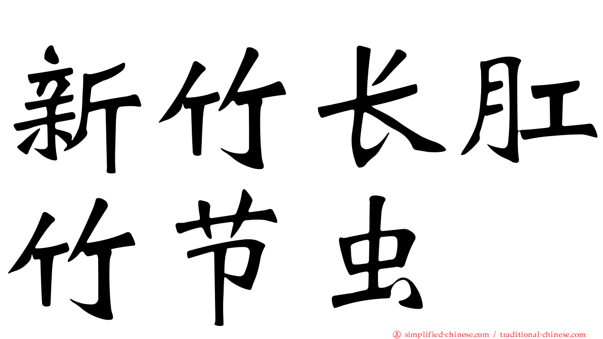 新竹长肛竹节虫