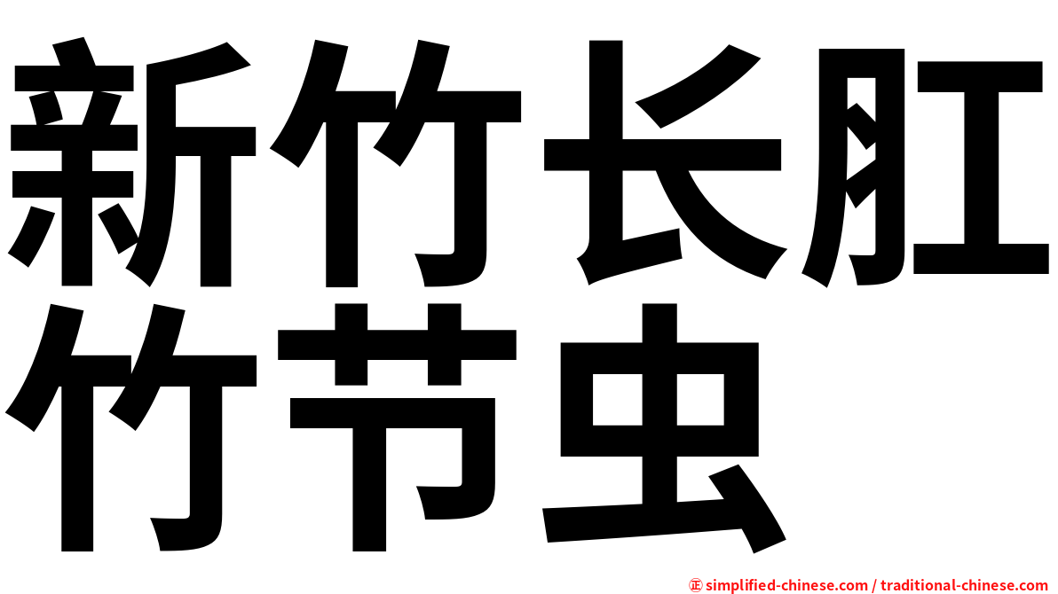 新竹长肛竹节虫