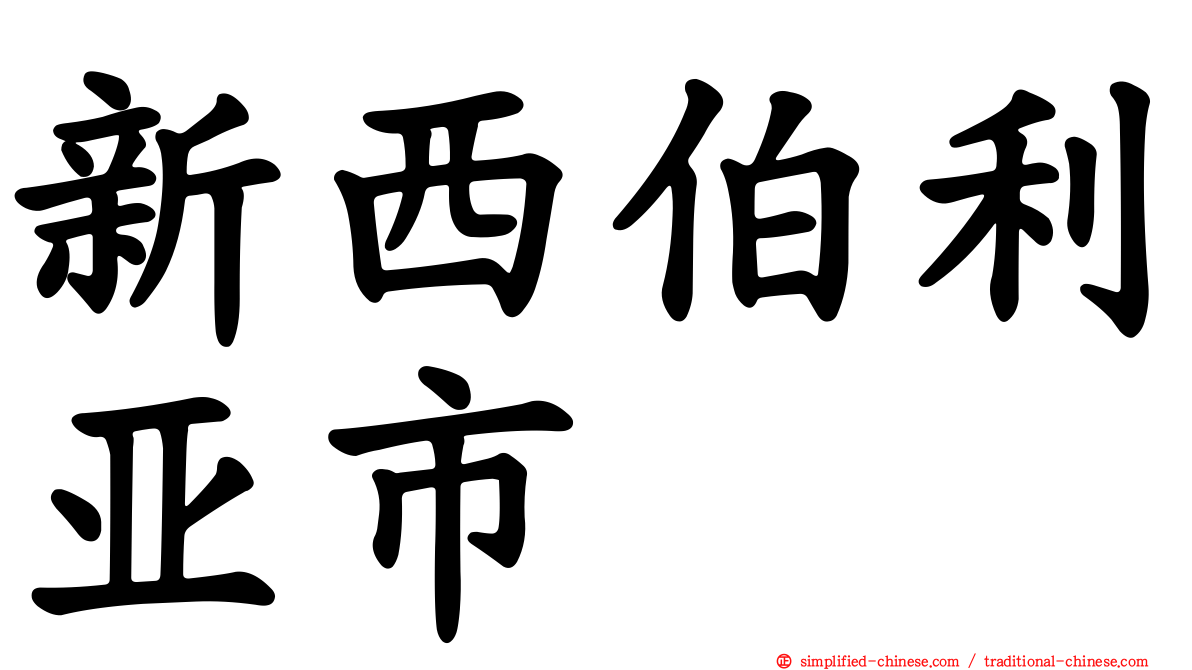 新西伯利亚市