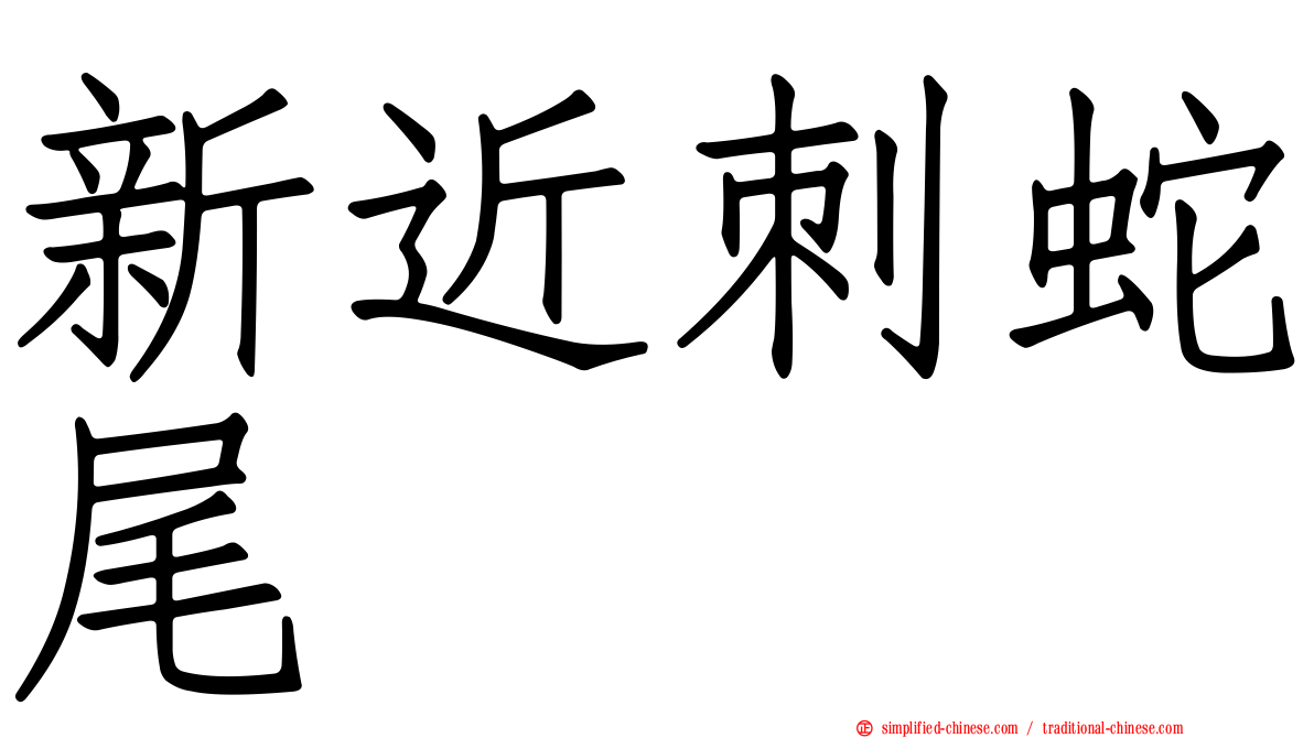 新近刺蛇尾