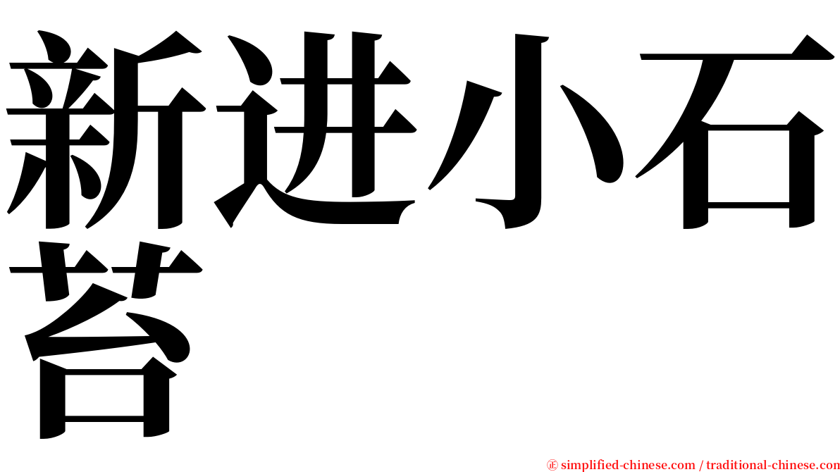 新进小石苔 serif font