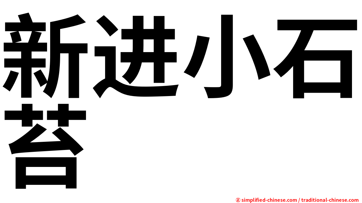 新进小石苔