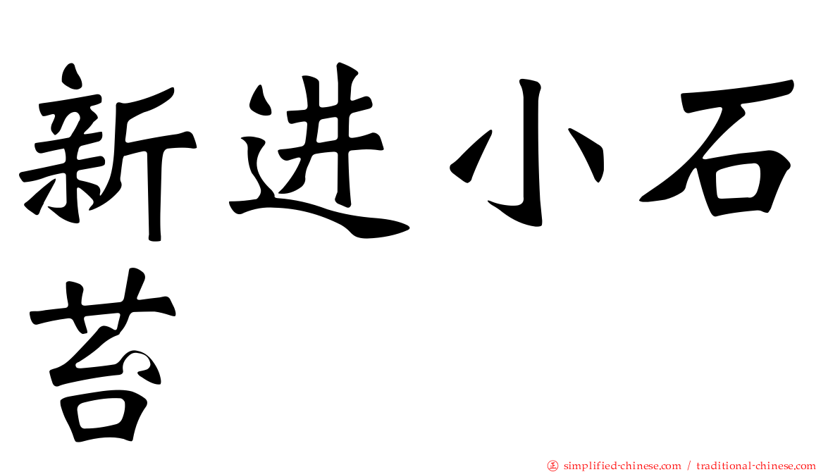 新进小石苔