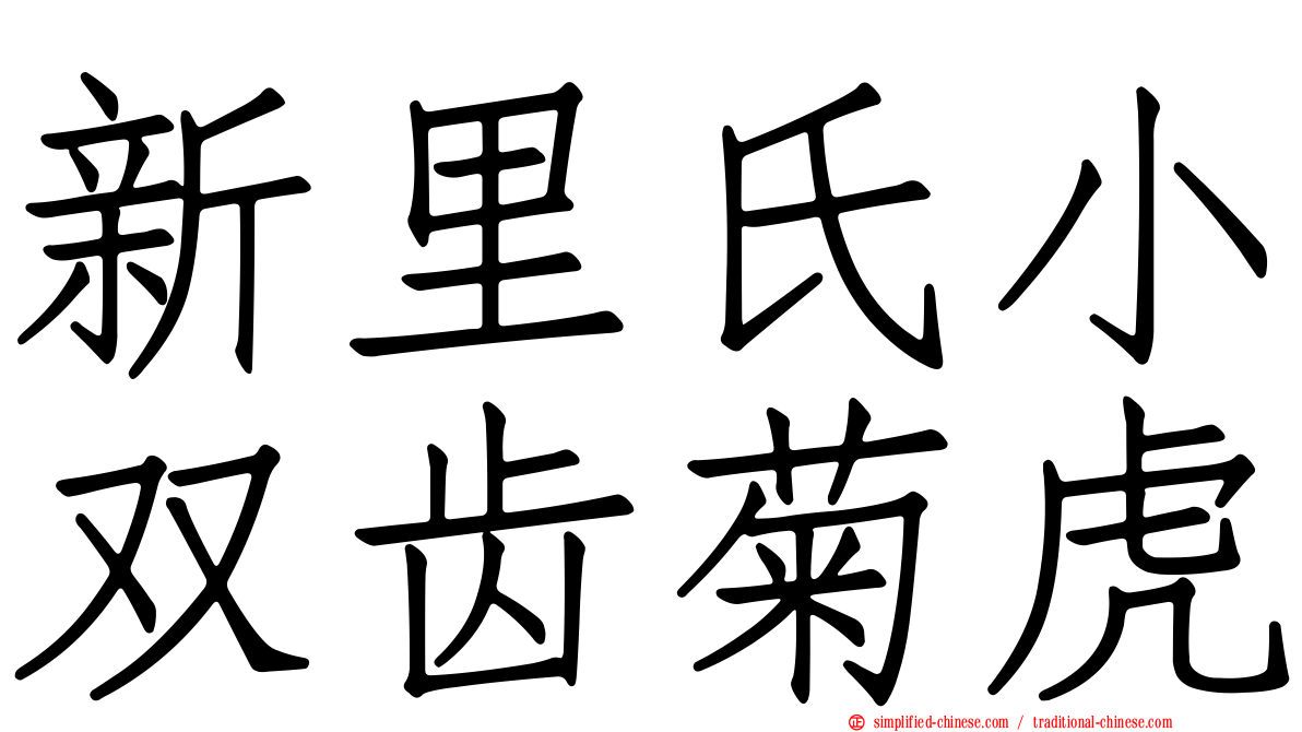 新里氏小双齿菊虎
