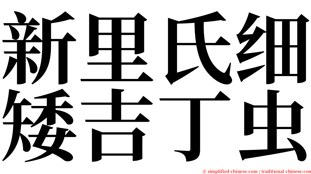 新里氏细矮吉丁虫 serif font
