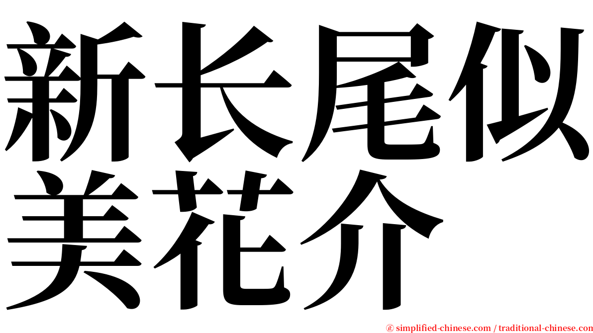 新长尾似美花介 serif font