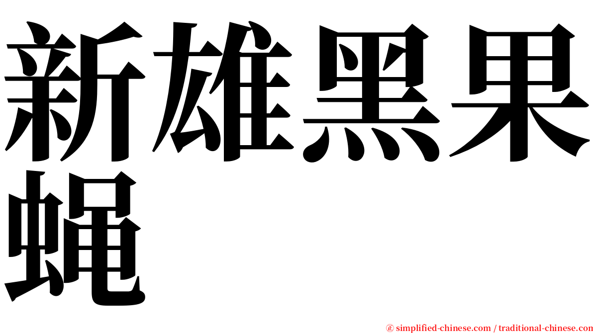 新雄黑果蝇 serif font