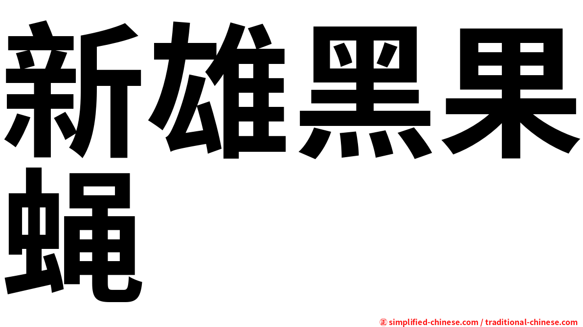 新雄黑果蝇