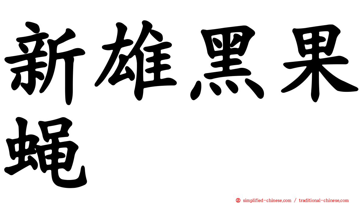 新雄黑果蝇