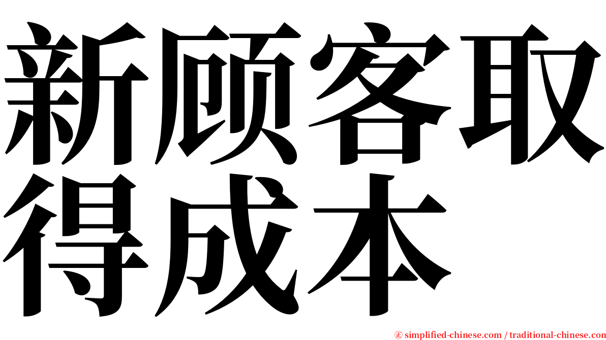 新顾客取得成本 serif font