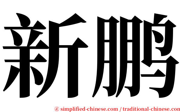 新鹏 serif font