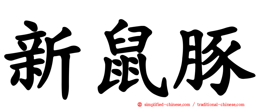 新鼠豚