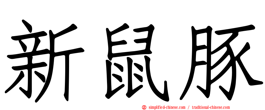 新鼠豚