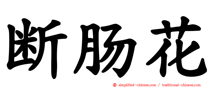 断肠花