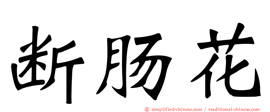 断肠花