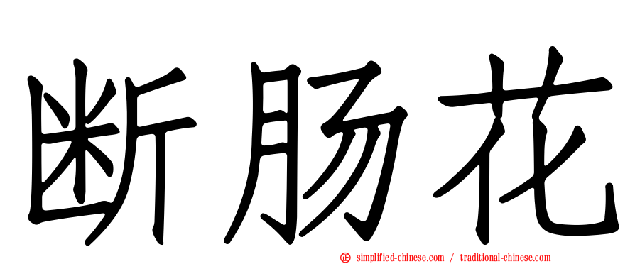 断肠花