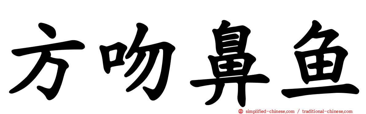 方吻鼻鱼