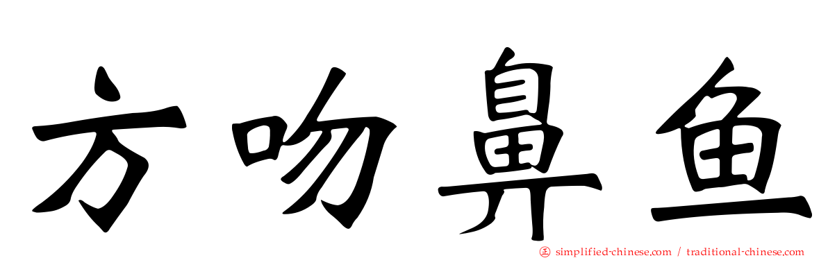 方吻鼻鱼