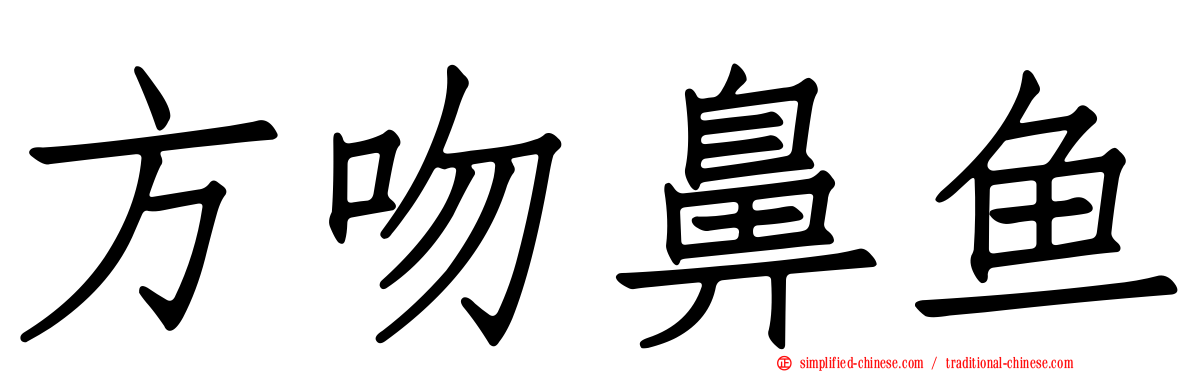 方吻鼻鱼