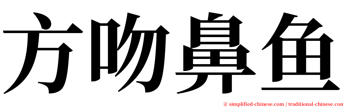 方吻鼻鱼 serif font