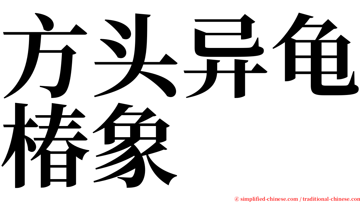 方头异龟椿象 serif font