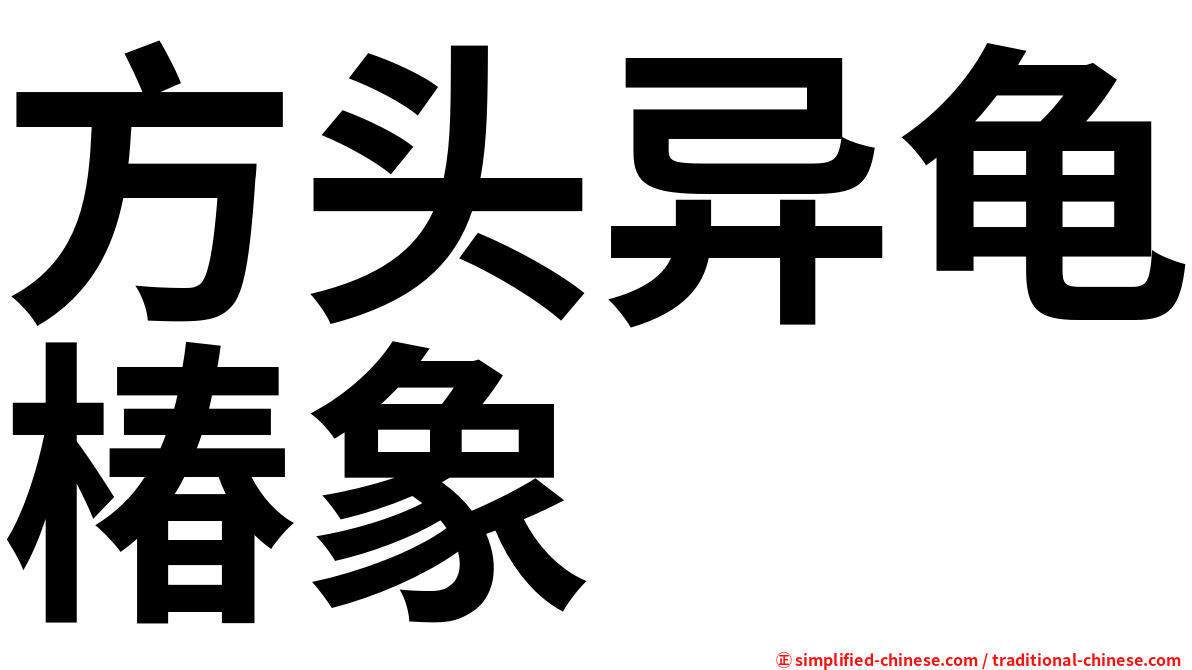 方头异龟椿象