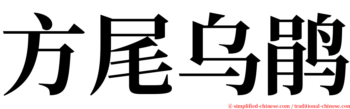 方尾乌鹃 serif font