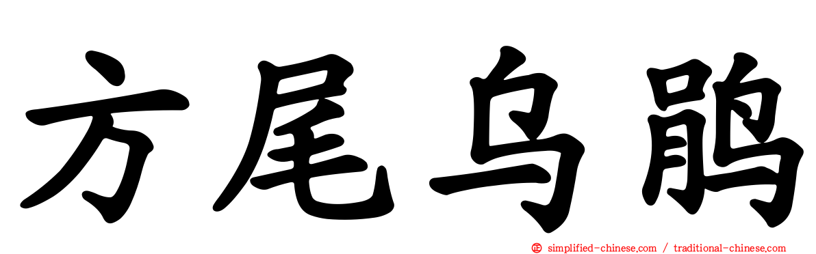 方尾乌鹃