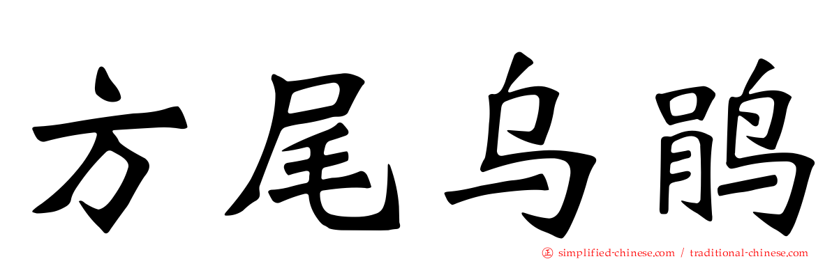 方尾乌鹃
