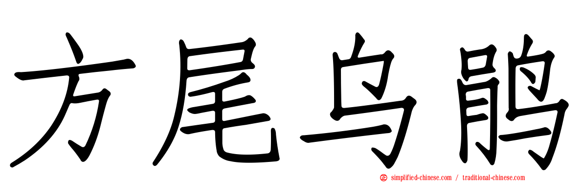 方尾乌鹃
