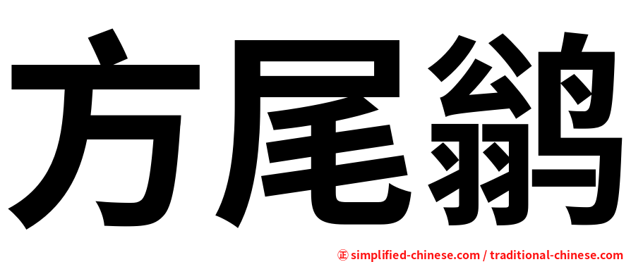 方尾鹟