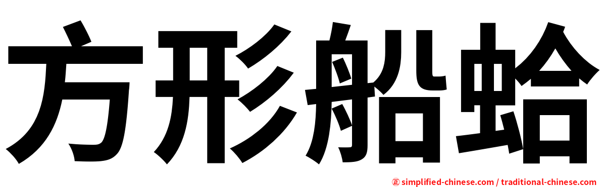 方形船蛤