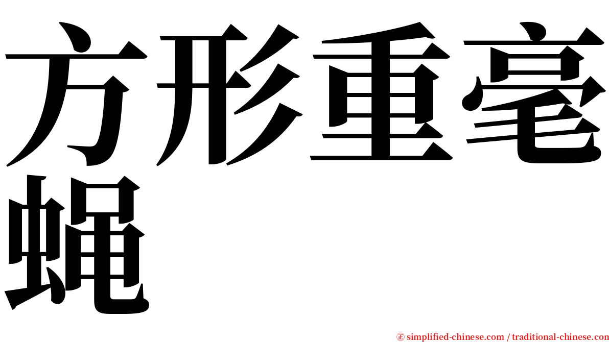 方形重毫蝇 serif font