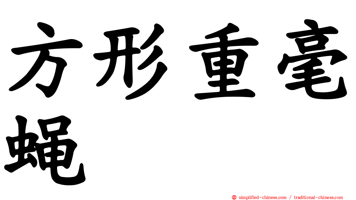 方形重毫蝇