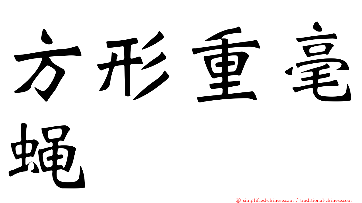 方形重毫蝇