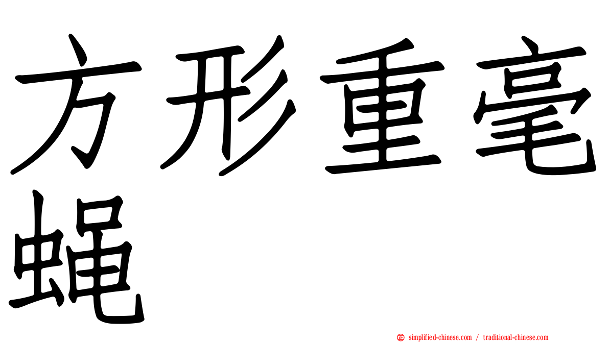 方形重毫蝇