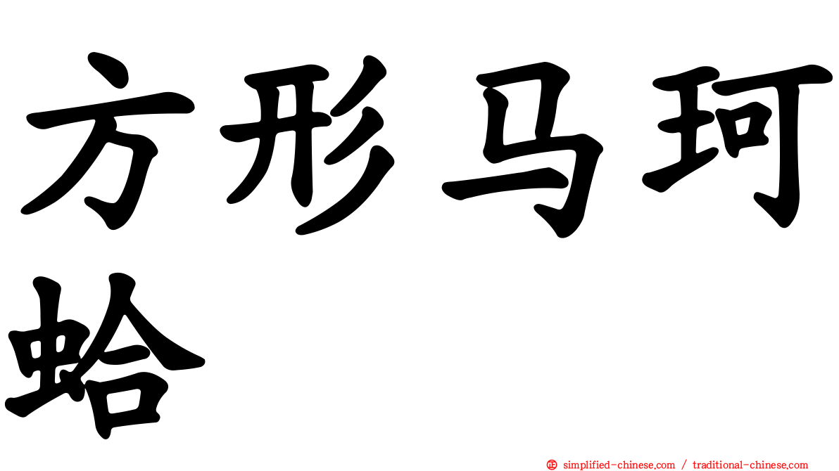 方形马珂蛤