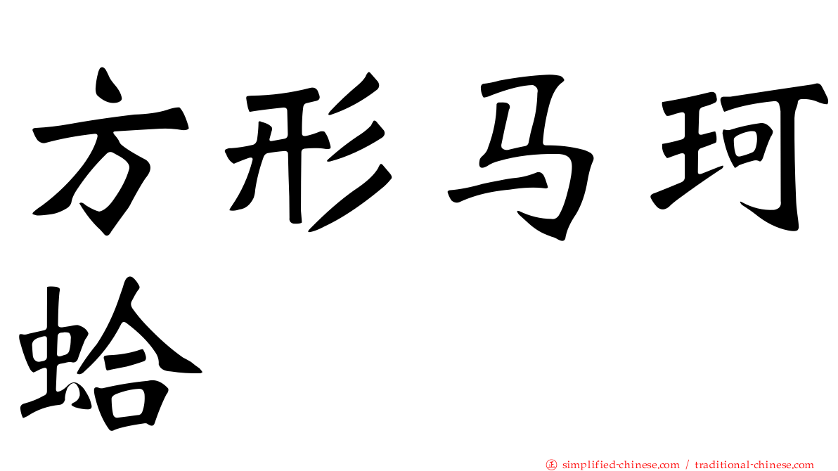方形马珂蛤