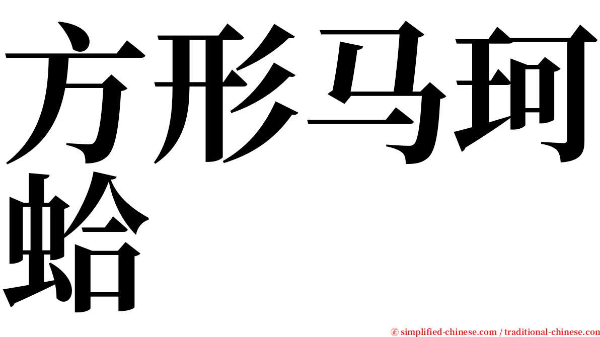 方形马珂蛤 serif font