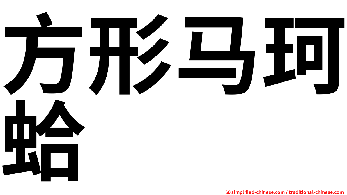 方形马珂蛤