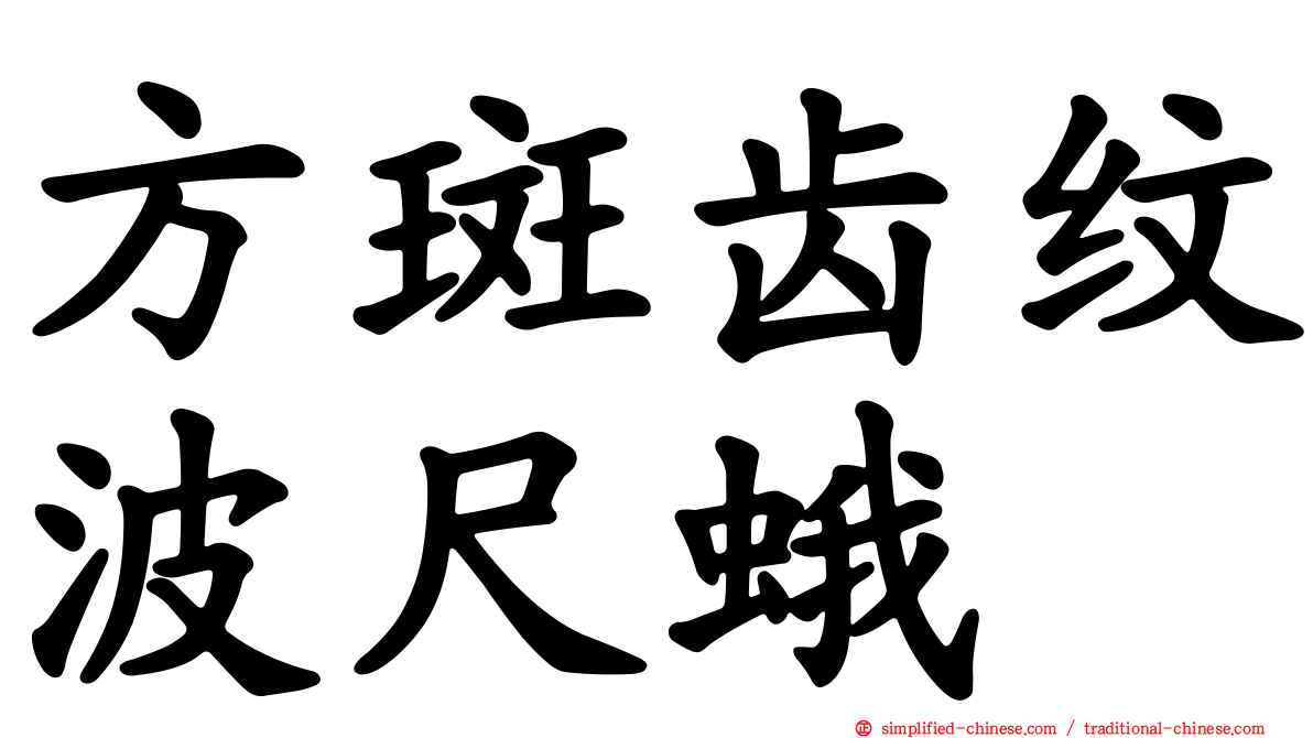 方斑齿纹波尺蛾